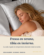 Funda de Seda Premium para Almohada • Espejo del Salar