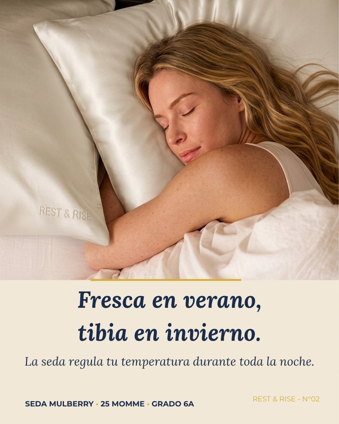 Funda de Seda Premium para Almohada • Niebla Andina