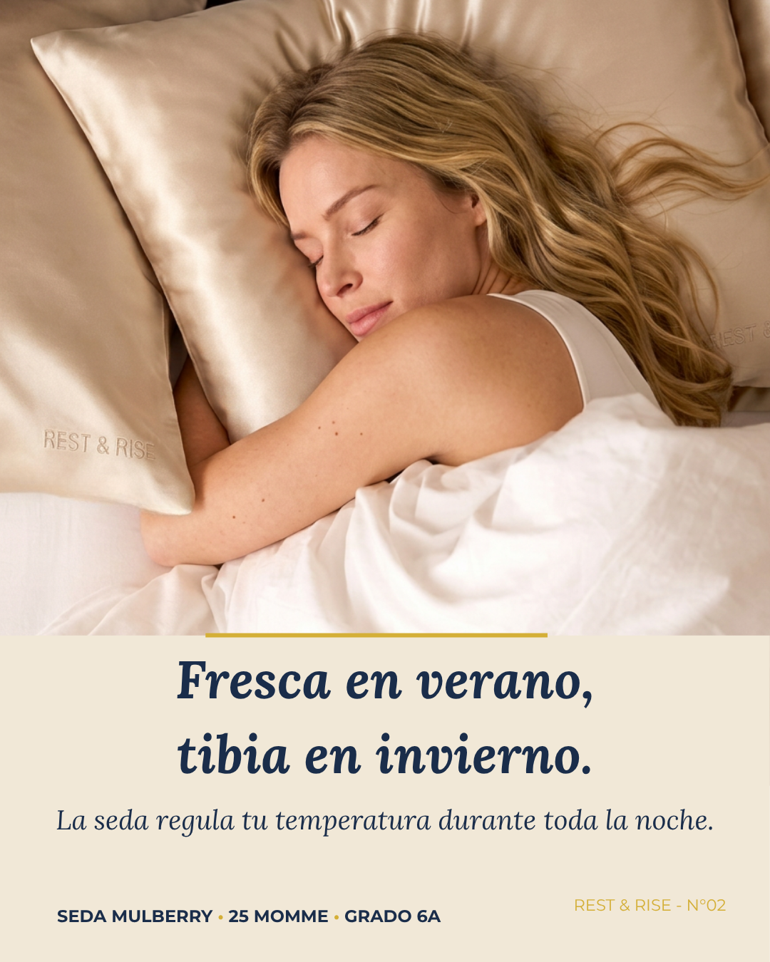 Funda de Seda Premium para Almohada • Arena del Desierto