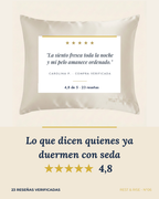 Funda de Seda Premium para Almohada • Niebla Andina